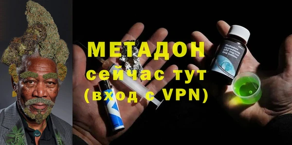 прущие грибы Карпинск