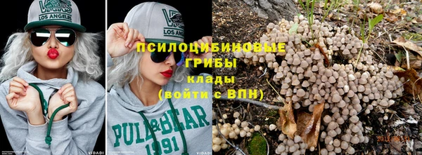 прущие грибы Карпинск