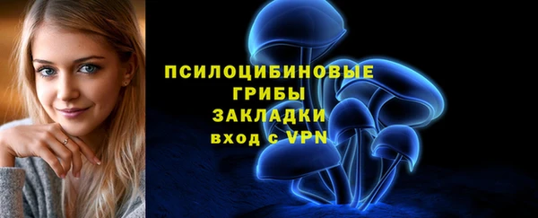прущие грибы Карпинск