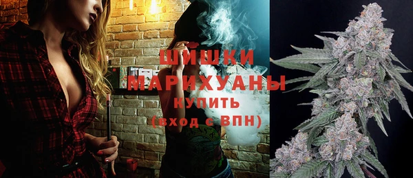 прущие грибы Карпинск