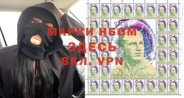 прущие грибы Карпинск