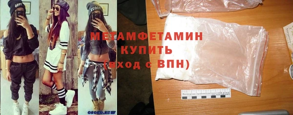 прущие грибы Карпинск
