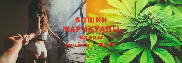 прущие грибы Карпинск