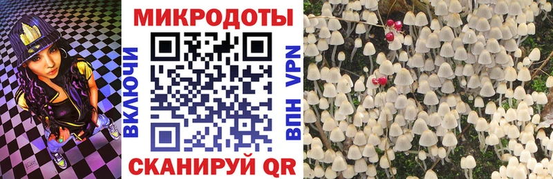 Галлюциногенные грибы Cubensis  Купить где  Белоярский 