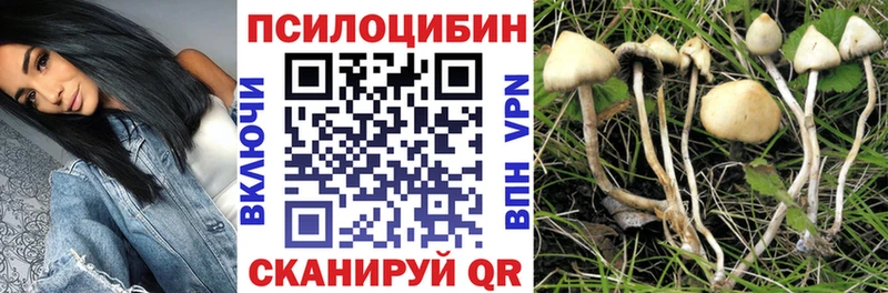 Псилоцибиновые грибы Psilocybine cubensis Белоярский