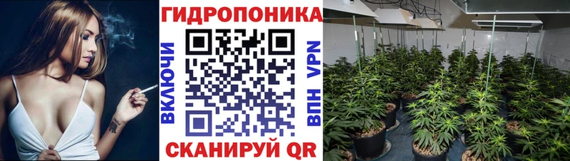 Бошки Шишки MAZAR  Купить закладки  Белоярский 